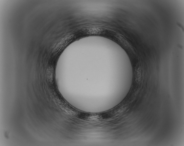 X0000100860505200807111256