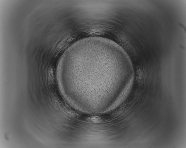 X0000100860506200807111256