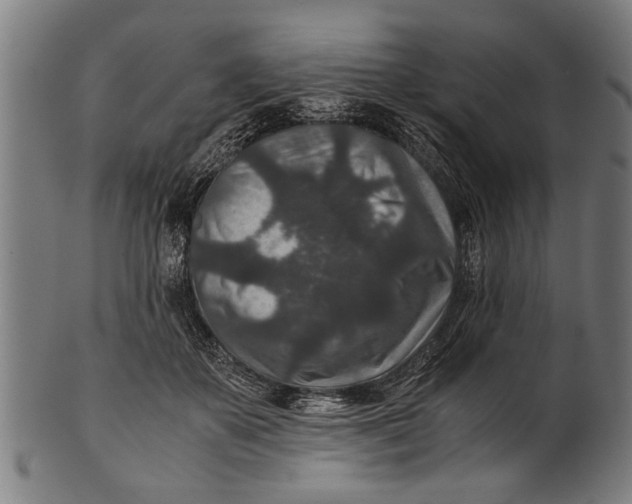 X0000100860507200807111256