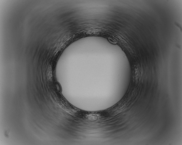 X0000100860508200807111256