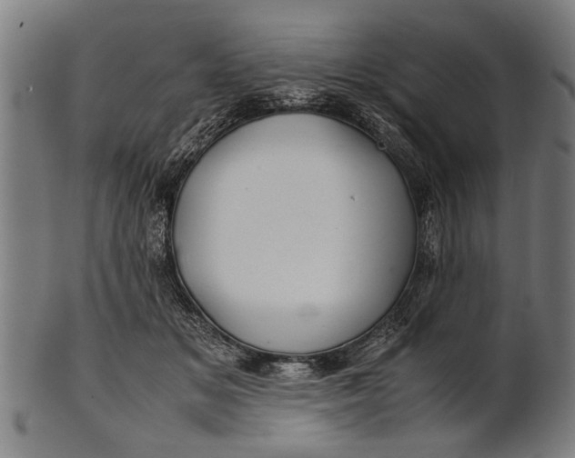 X0000100860509200807111256