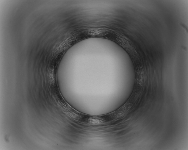 X0000100860510200807111256