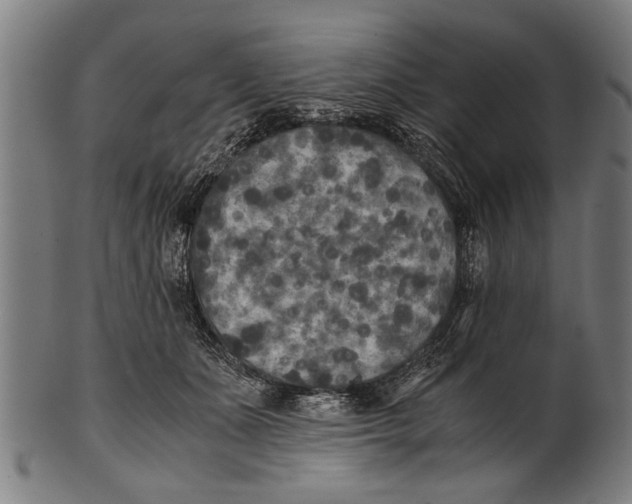 X0000100860511200807111256