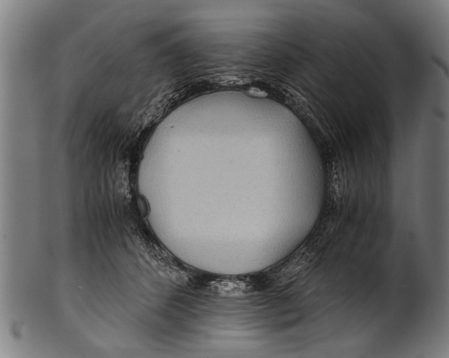 X0000100860512200807111256