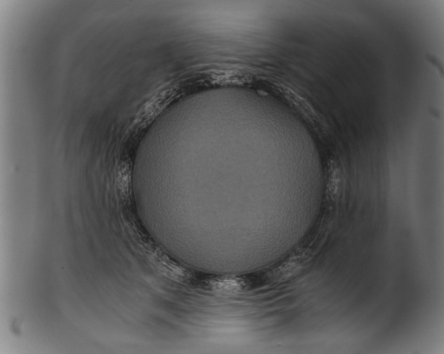 X0000100860513200807111256