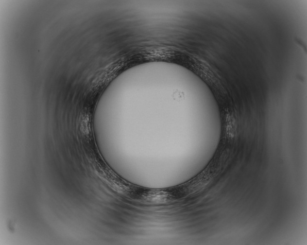 X0000100860514200807111256