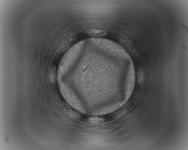 X0000100860515200807111256