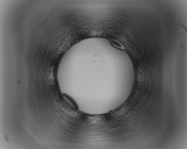 X0000100860516200807111256