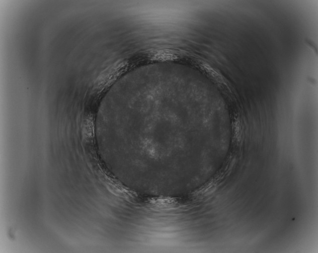 X0000100860517200807111256