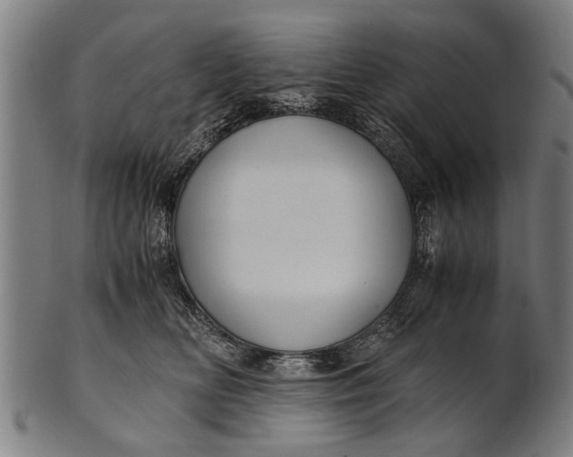 X0000100860518200807111256