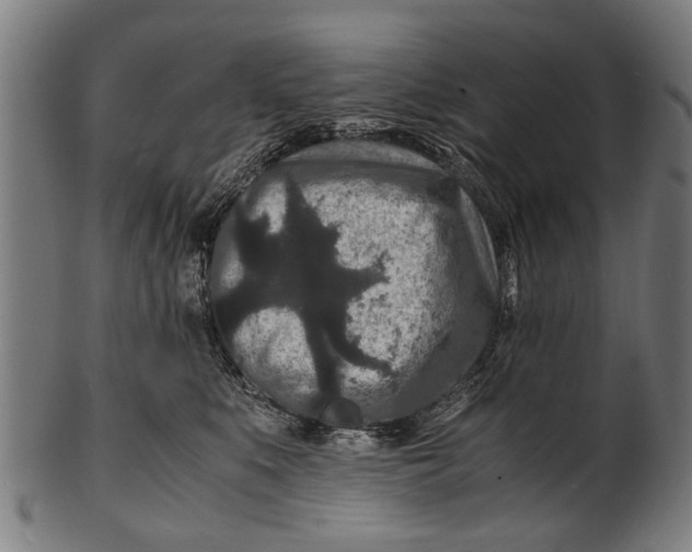 X0000100860519200807111256