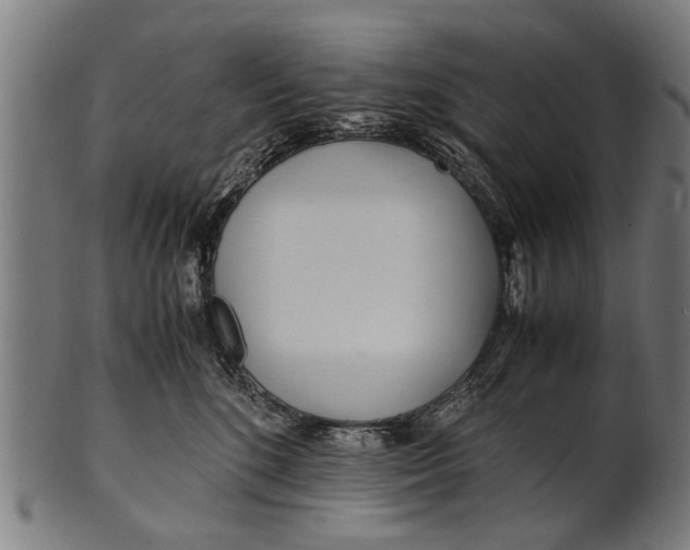 X0000100860520200807111256