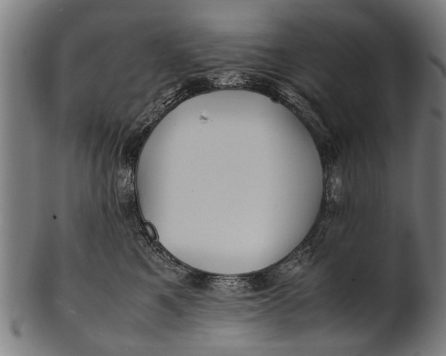 X0000100860521200807111256