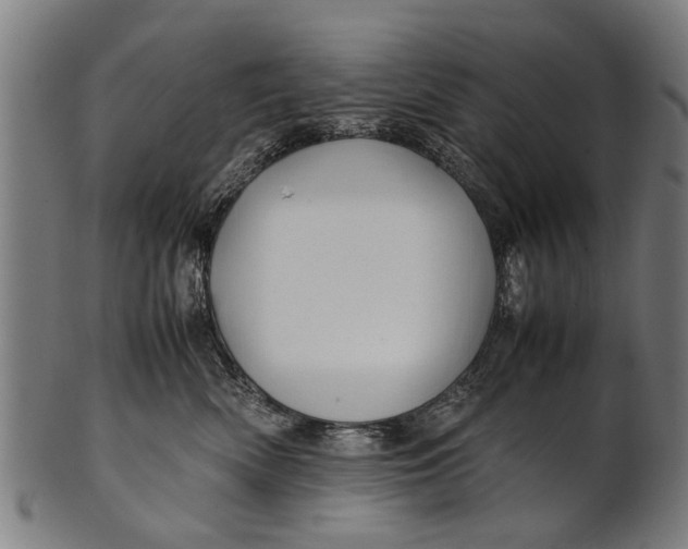 X0000100860522200807111256