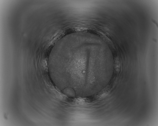 X0000100860523200807111256