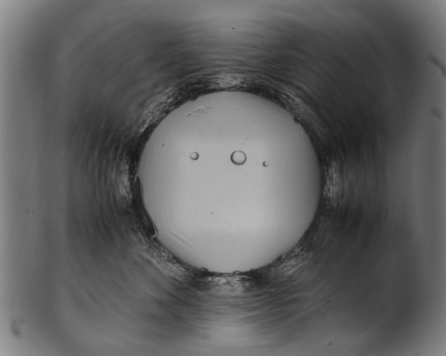 X0000100860524200807111256