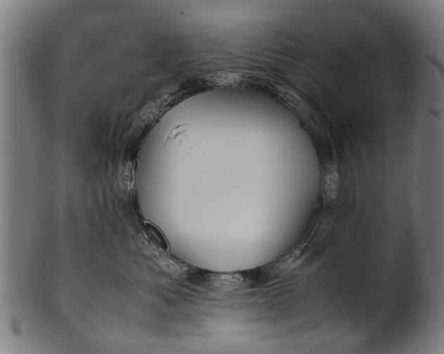 X0000100860525200807111256