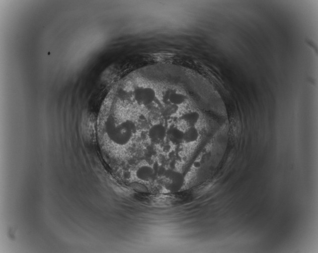 X0000100860527200807111256