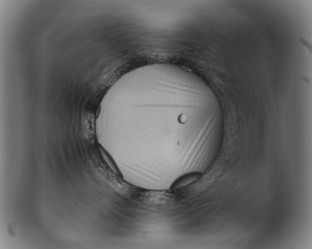 X0000100860528200807111256