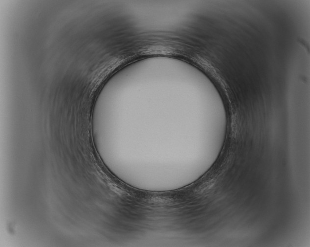 X0000100860529200807111255