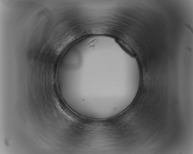 X0000100860530200807111255