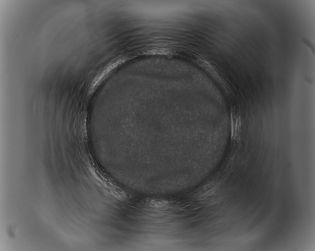 X0000100860531200807111255