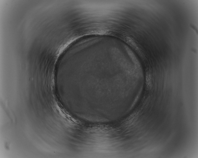 X0000100860532200807111255