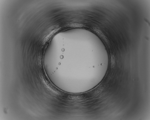 X0000100860533200807111255