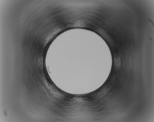 X0000100860534200807111255