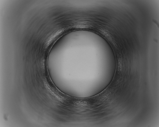 X0000100860535200807111255