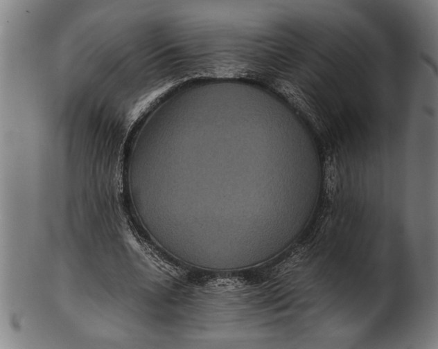 X0000100860536200807111255