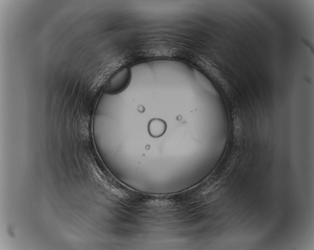 X0000100860537200807111255