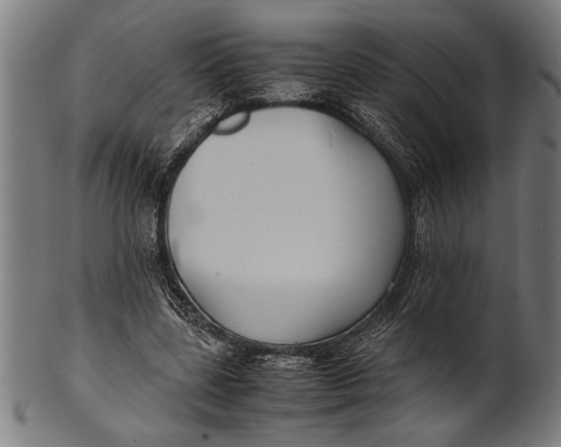 X0000100860539200807111255