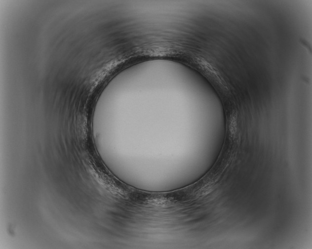 X0000100860540200807111255