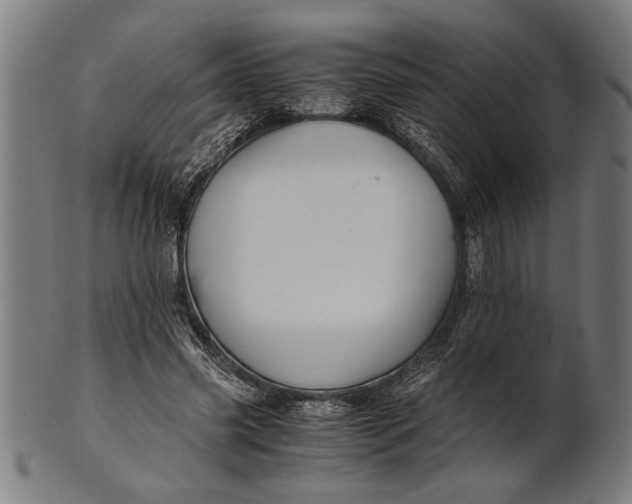 X0000100860541200807111255