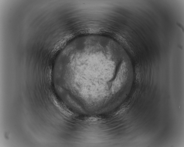 X0000100860542200807111255