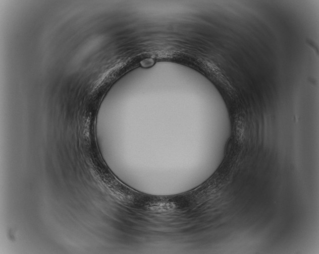 X0000100860543200807111255