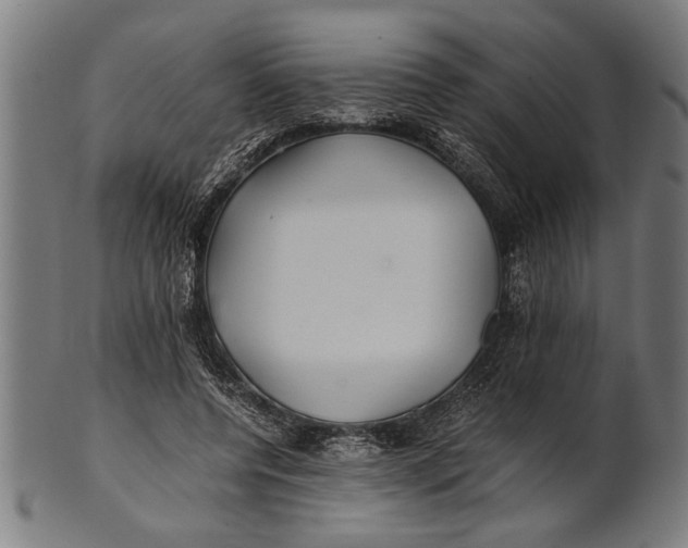 X0000100860544200807111255