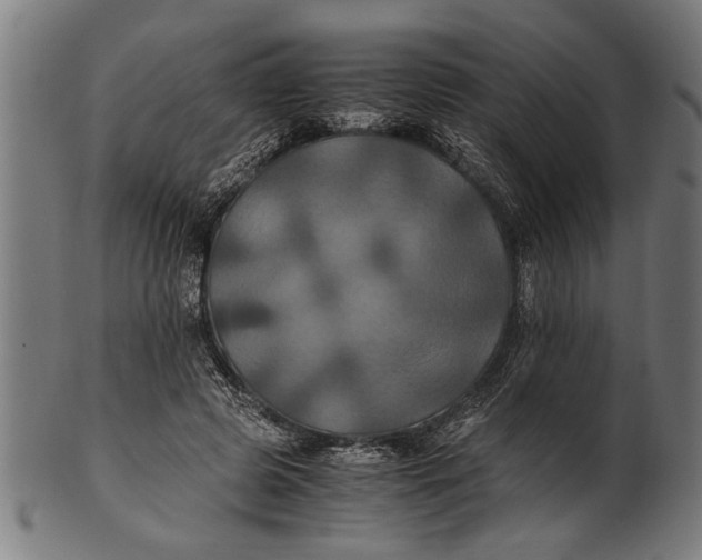 X0000100860545200807111256