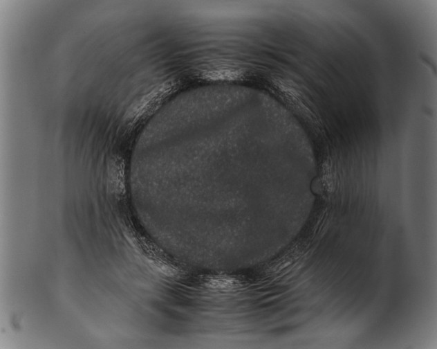 X0000100860547200807111256