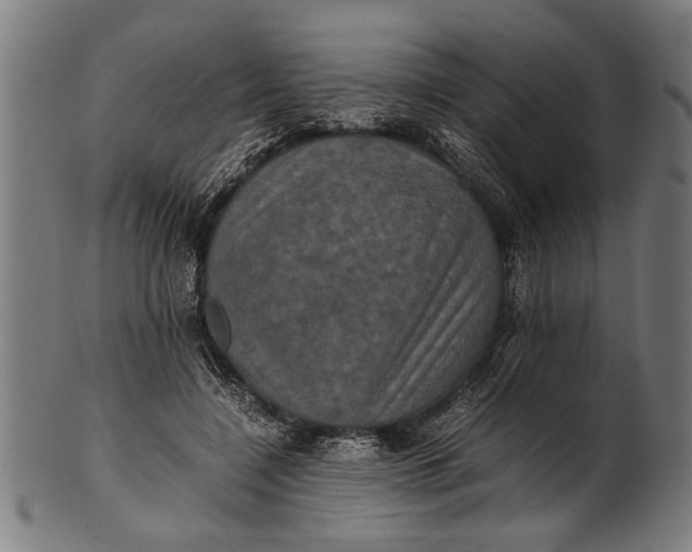 X0000100860548200807111256