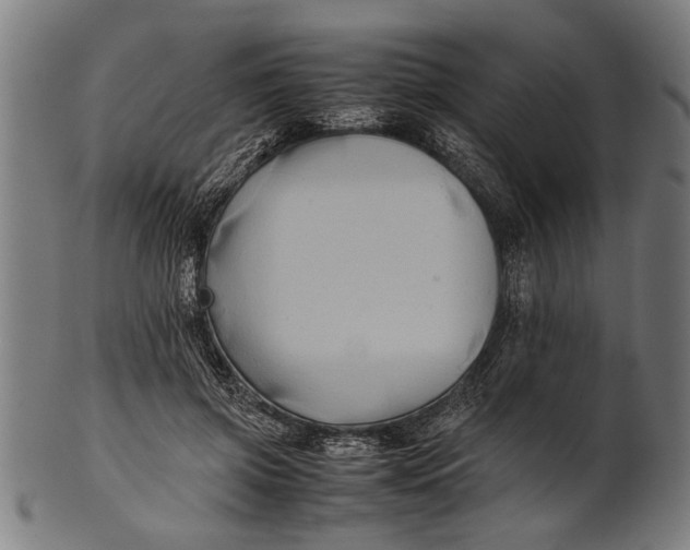 X0000100860549200807111256