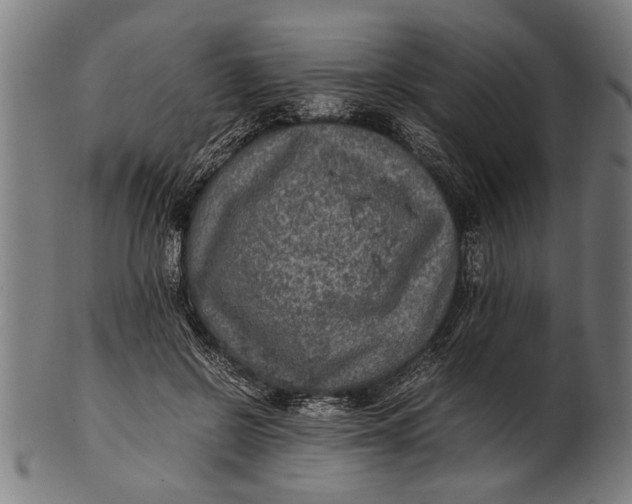 X0000100860550200807111256