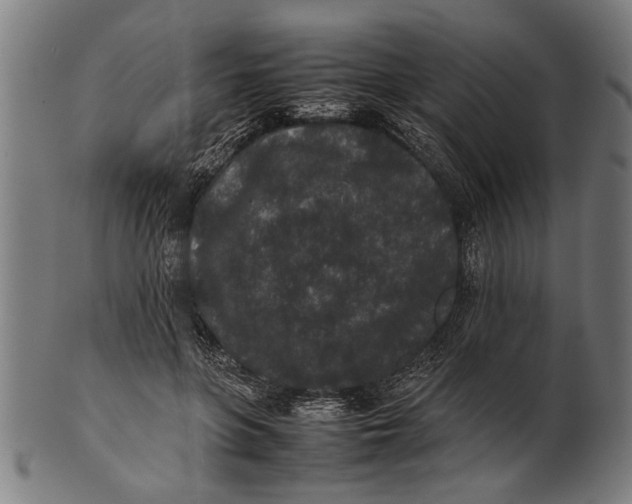 X0000100860551200807111256