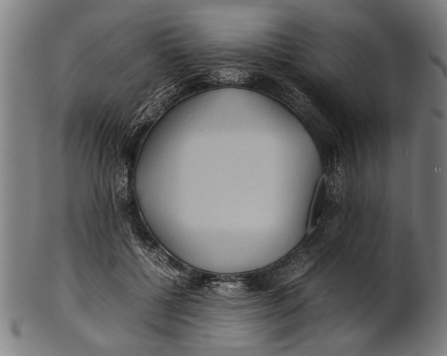 X0000100860552200807111256