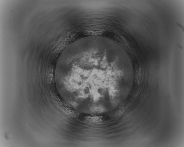 X0000100860553200807111256