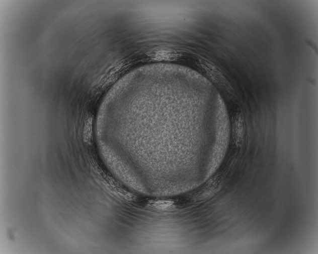 X0000100860554200807111256