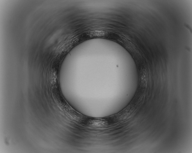 X0000100860555200807111256