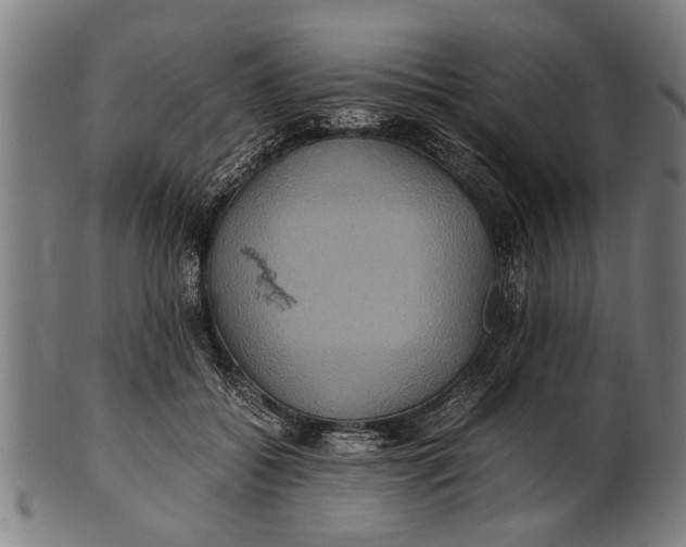 X0000100860556200807111256