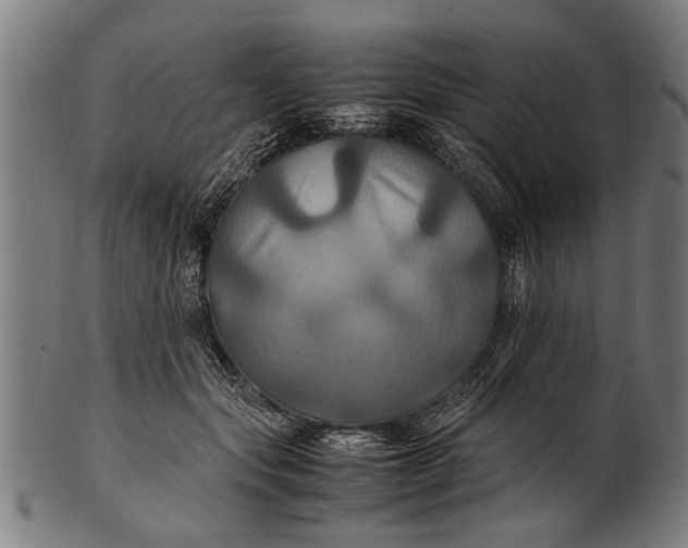 X0000100860557200807111256